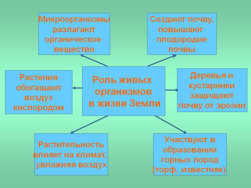 Роль человека в природе презентация по биологии