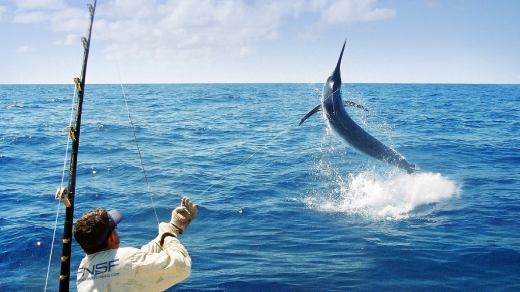 Deep fishing. Рыбалка «на море». Ловля в океане. Рыбы в море. Морская рыбалка BIGFISH.