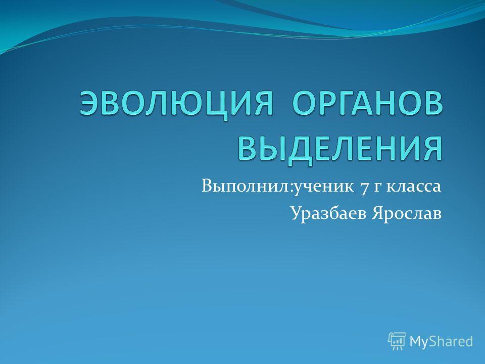 Органы выделения 7 класс презентация